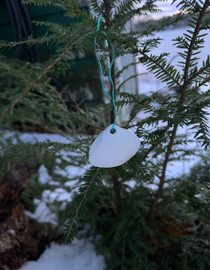 Clam Shell Ornaments