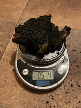 Sustainably Harvested Chaga