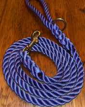 Dyed Polyline Leashes