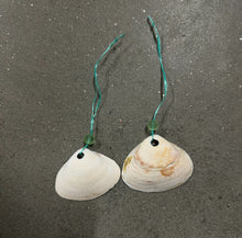 Clam Shell Ornaments