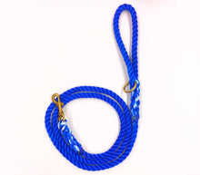 Dyed Polyline Leashes