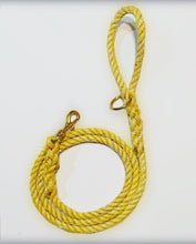 Yellow Plain Maine Leash