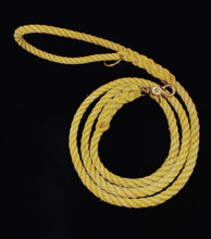 Yellow Plain Maine Leash